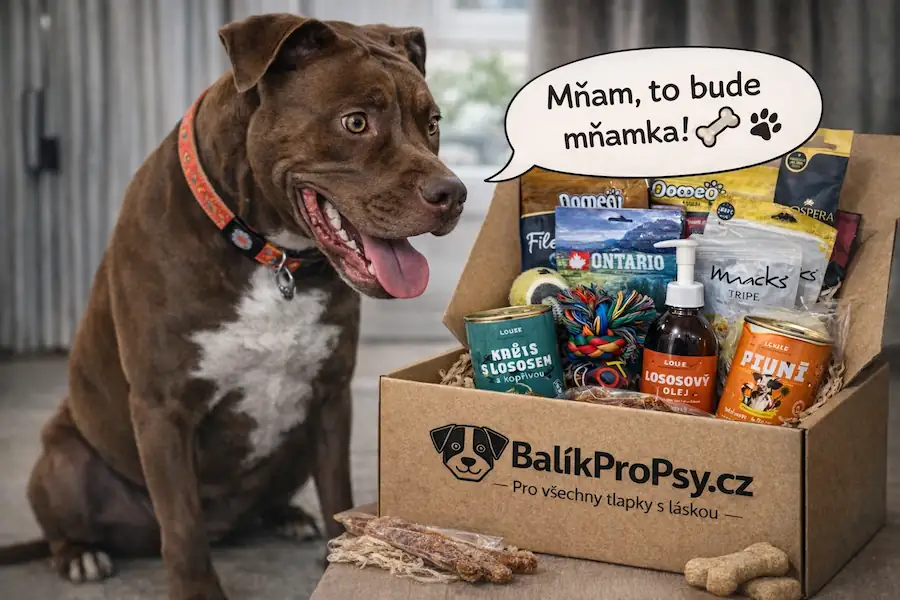 Dárkový balíček pro psa – BalíkProPsy.cz